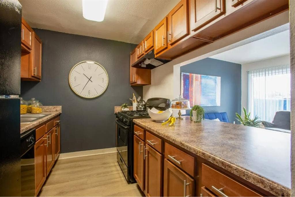 1 bedroom apartment