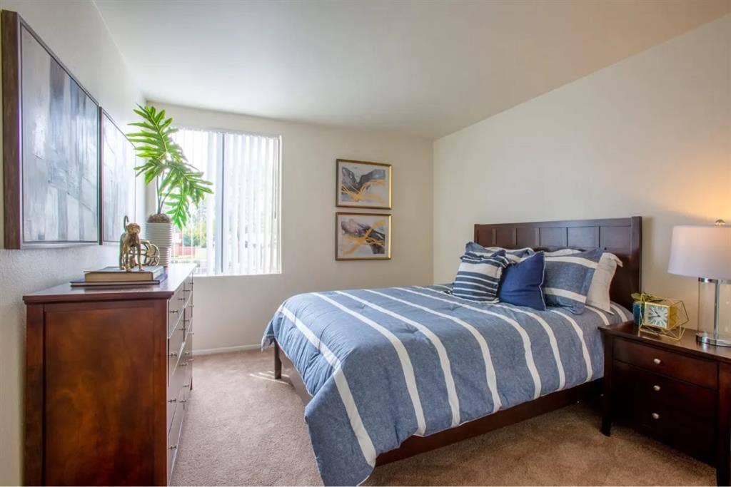 1 bedroom apartment