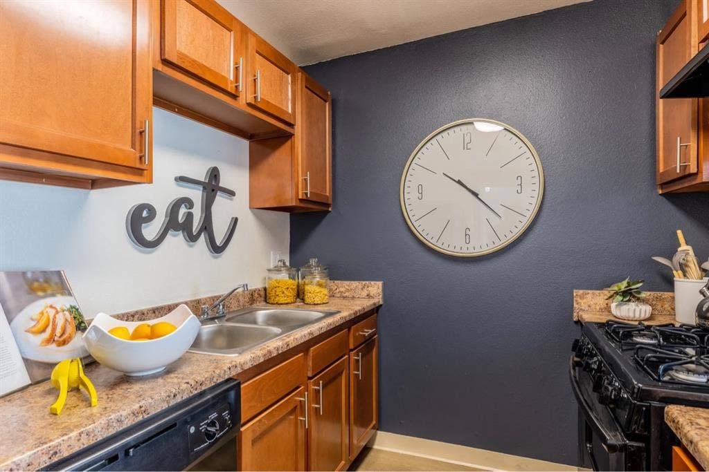 1 bedroom apartment