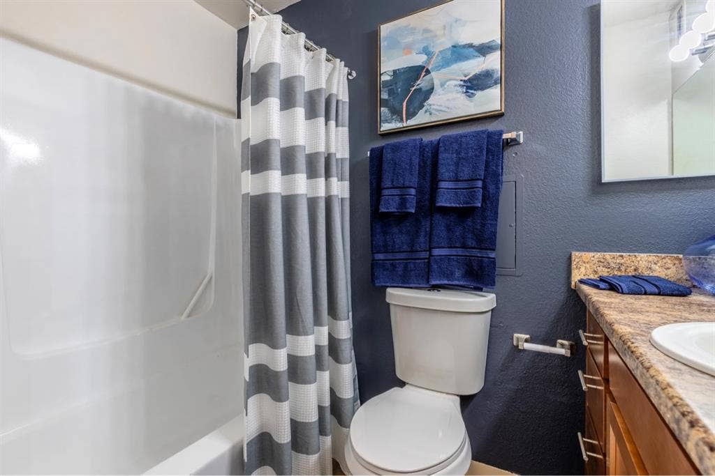 1 bedroom apartment