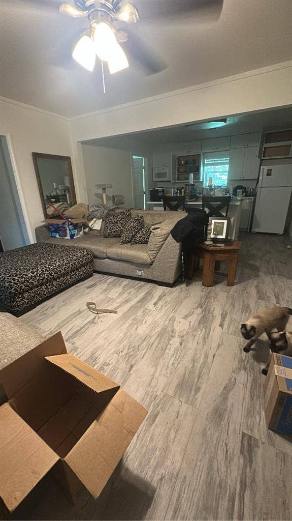Room/All bills included