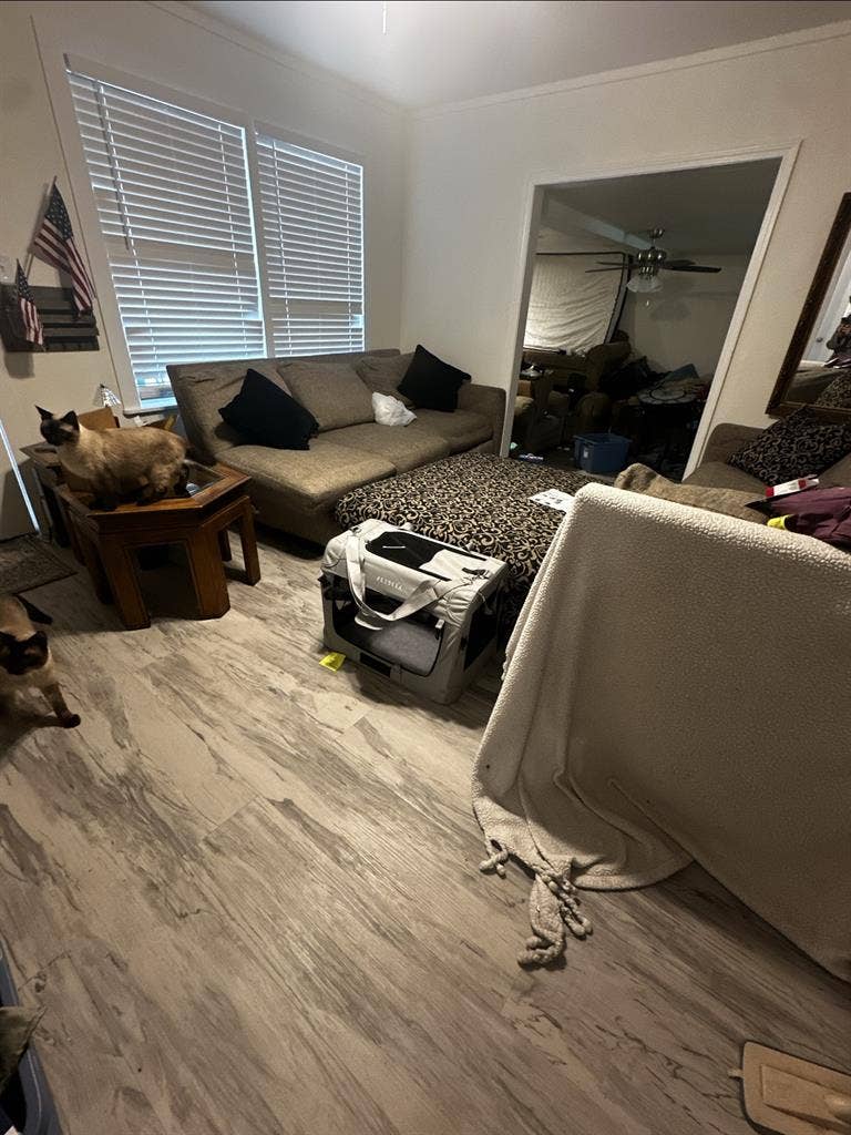Room/All bills included