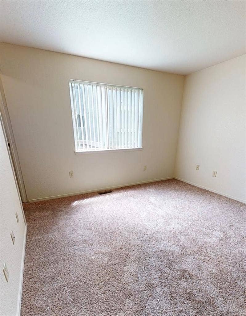 NEED A ROOMMATE 😁