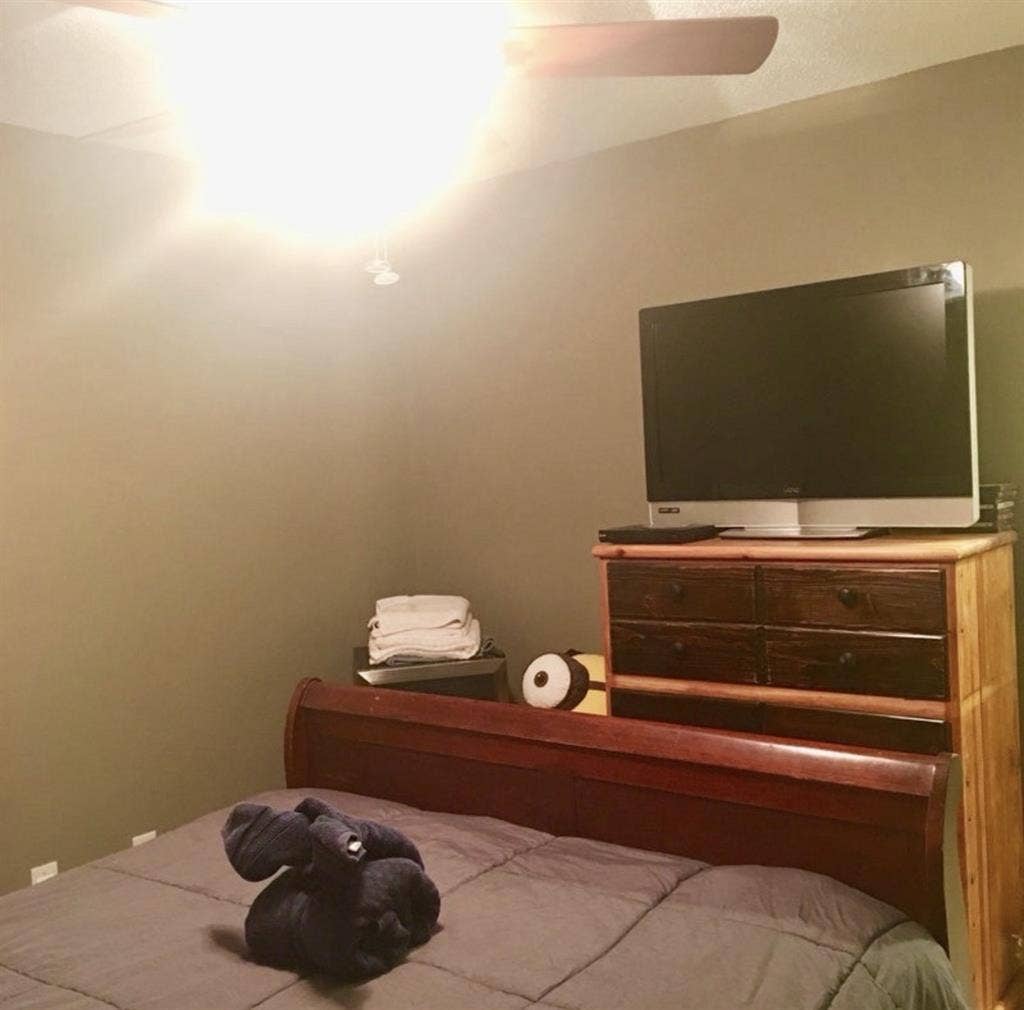 CLT - Private Room w/Backyard