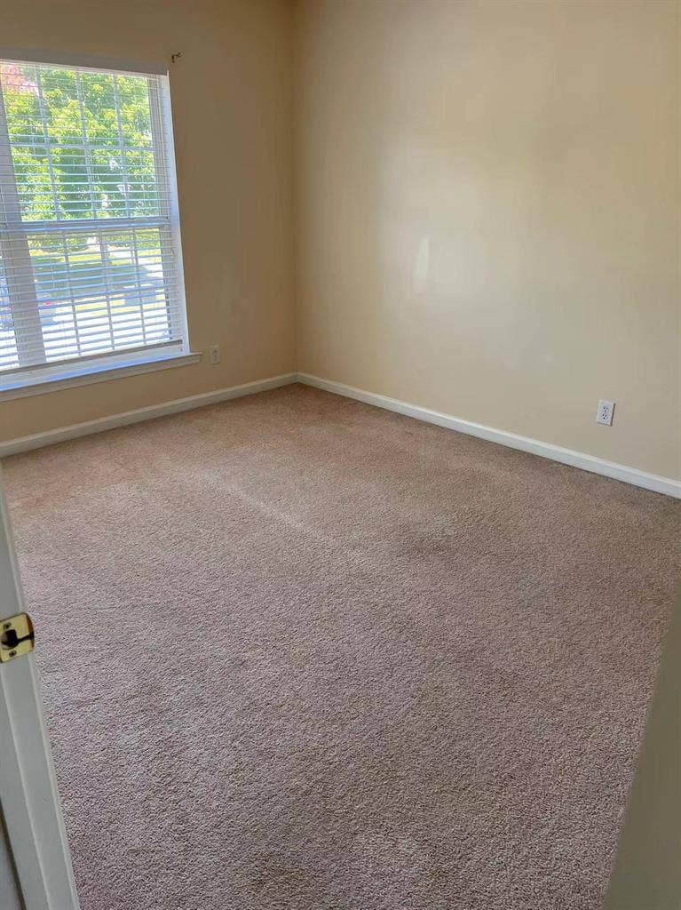 Student looking for roommate