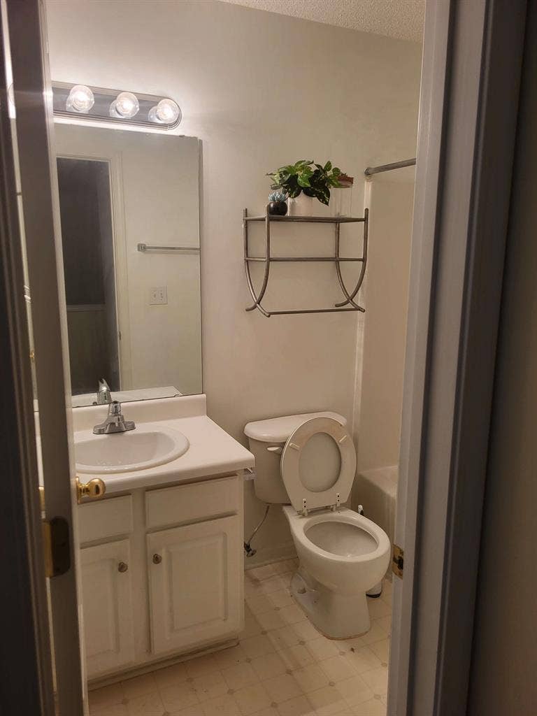 Student looking for roommate