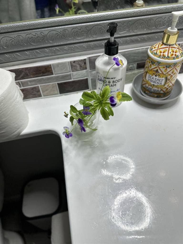 Rent-furnished master/bath