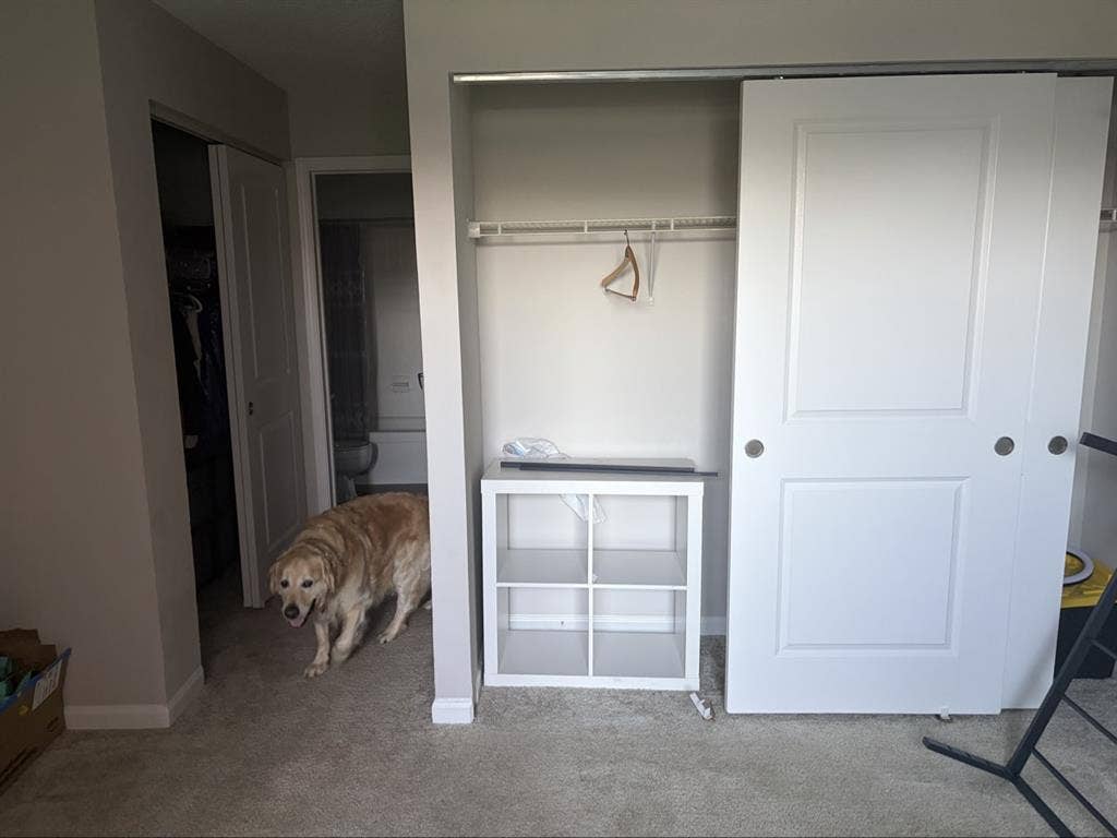 Looking for roommate private room/b
