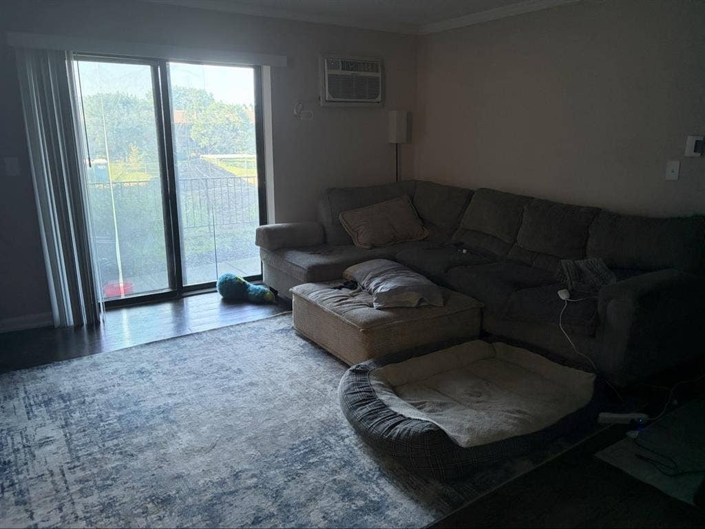Looking for roommate private room/b