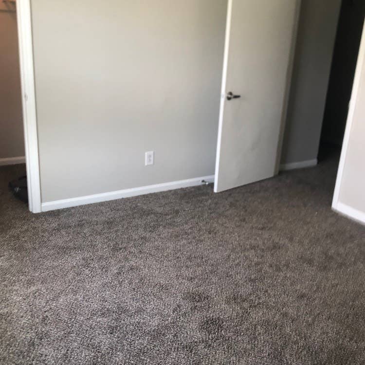 Room for rent, in need of a Roomate
