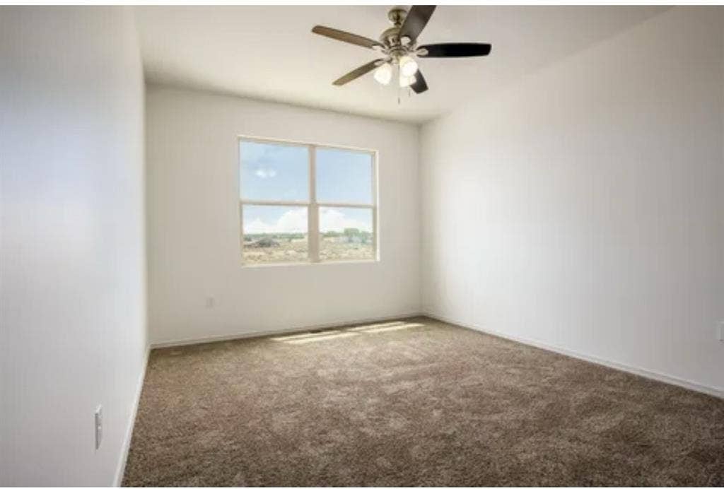 Room for rent!