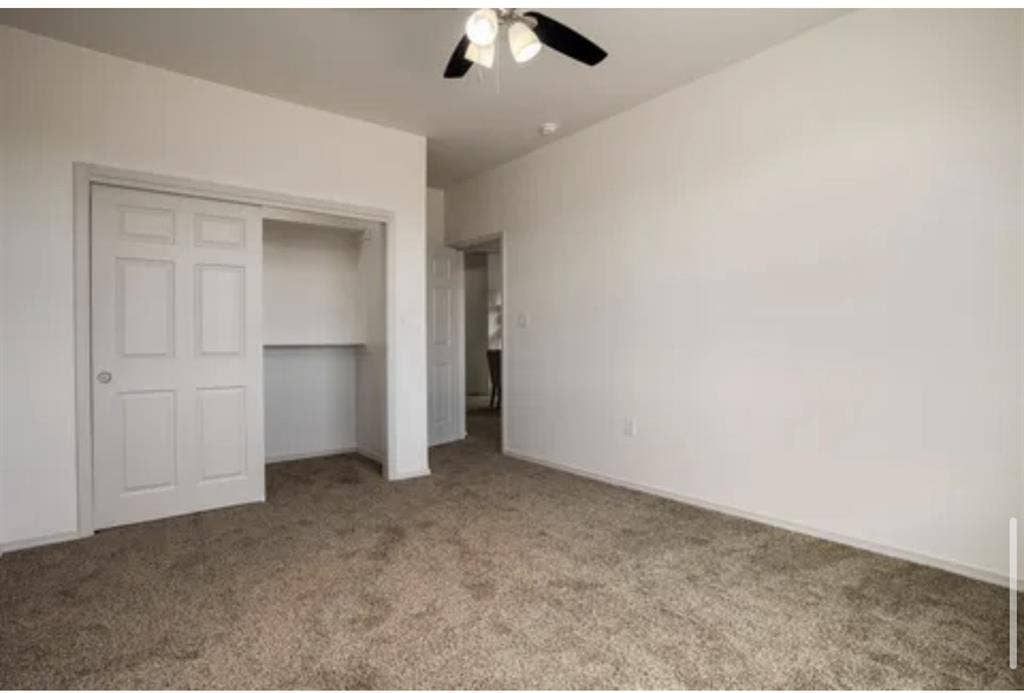 Room for rent!