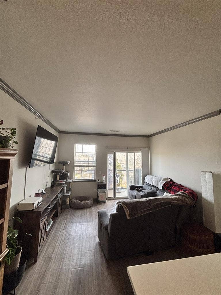 Room Available in Littleton -Aug 11