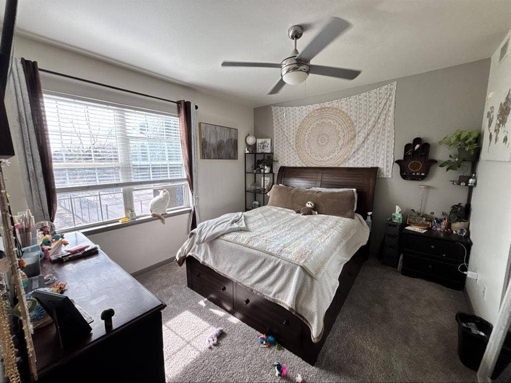 Room Available in Littleton -Aug 11