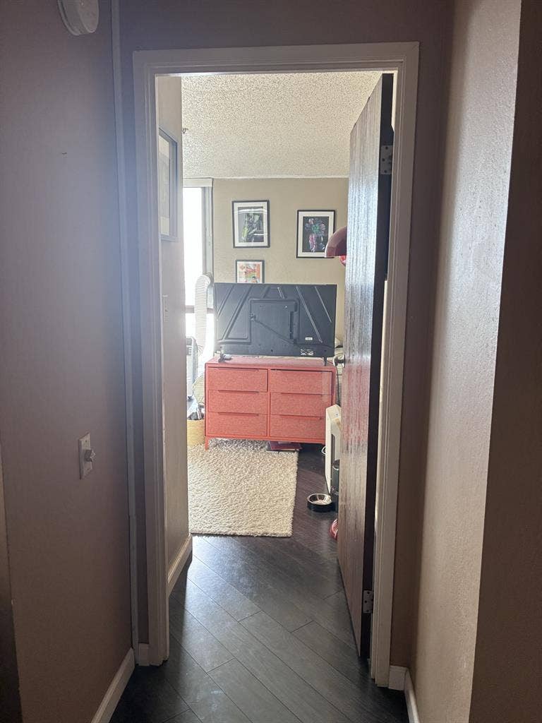 Roommate needed