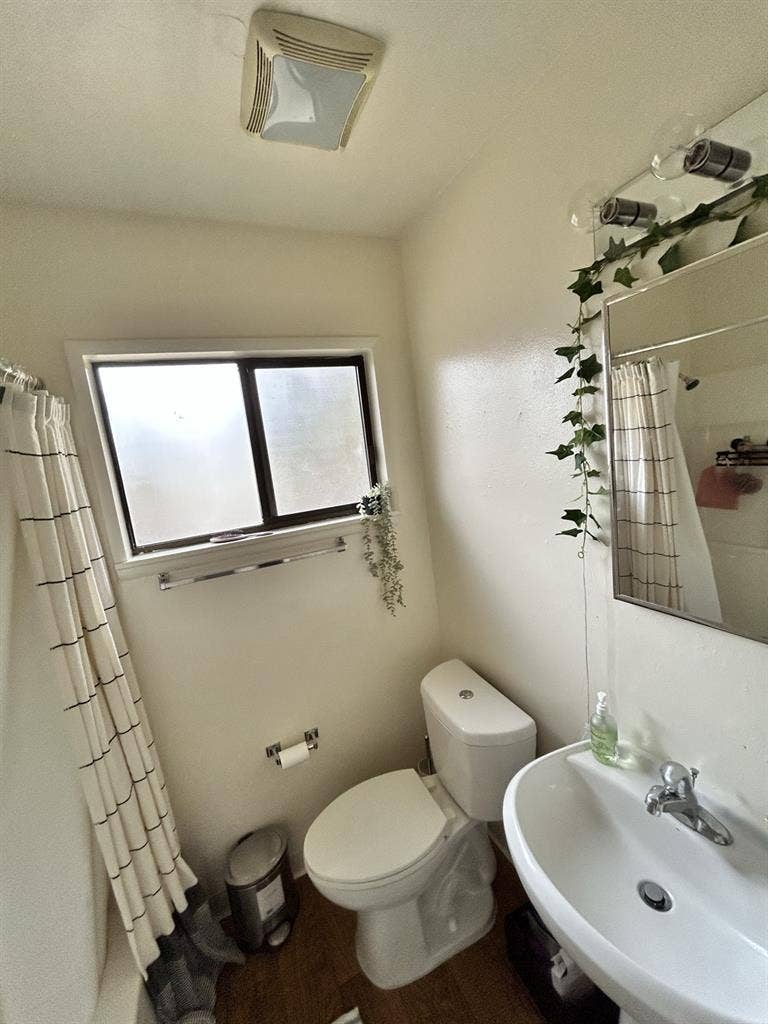 Room for rent