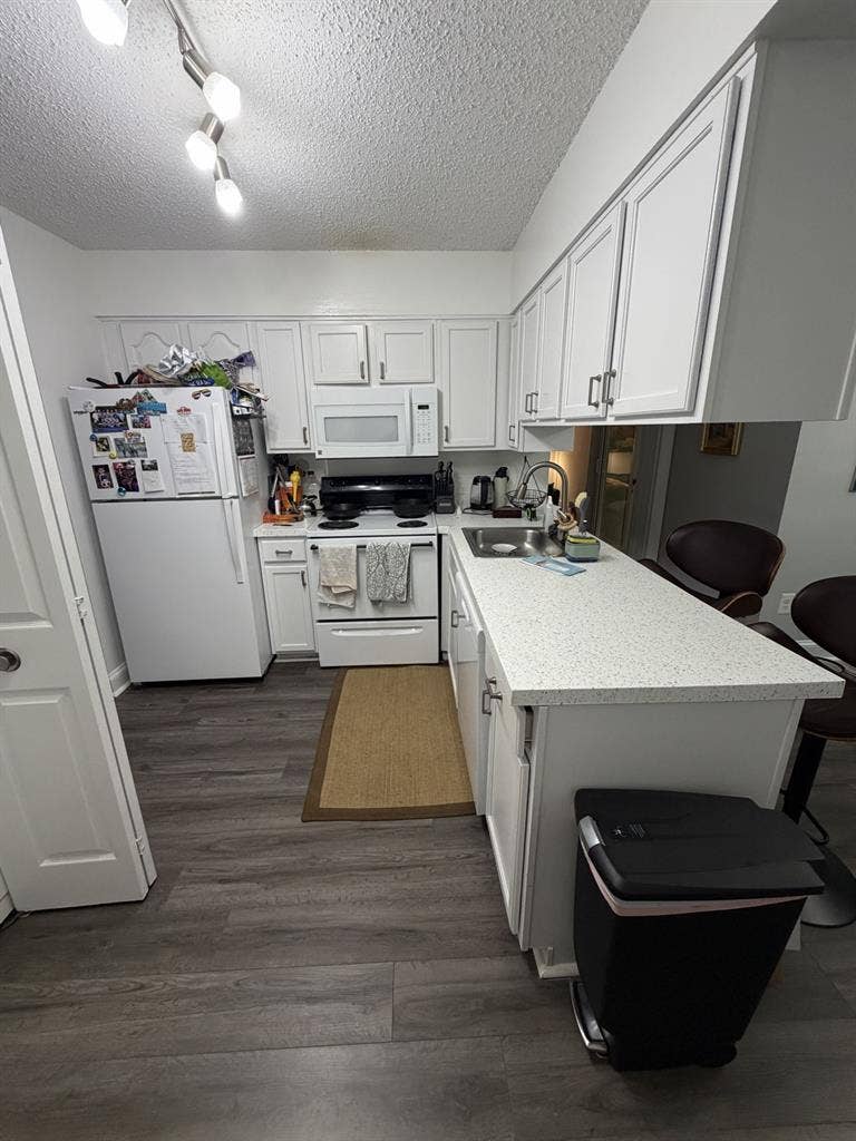 Roommate to split apartment