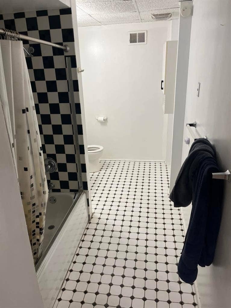 ISO Roommate Lakeview Start 8/1