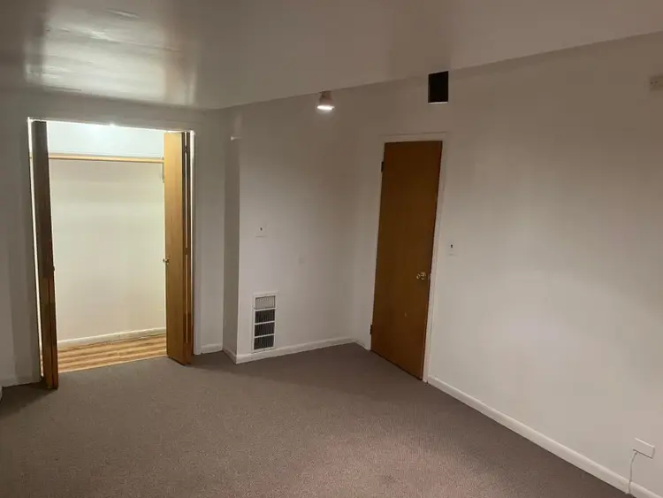 ISO Roommate Lakeview Start 8/1