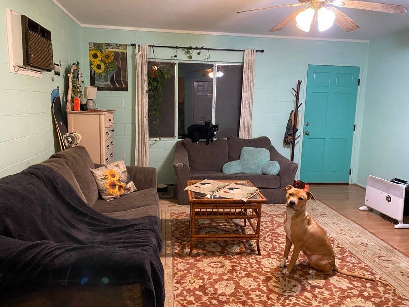 Room For Rent