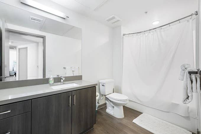 Room in Luxury home for rent