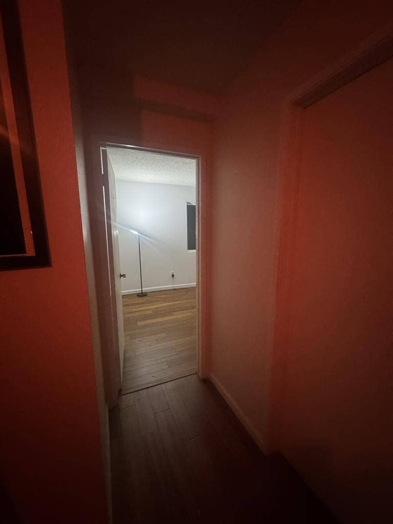 Looking for a Respectful Roommate