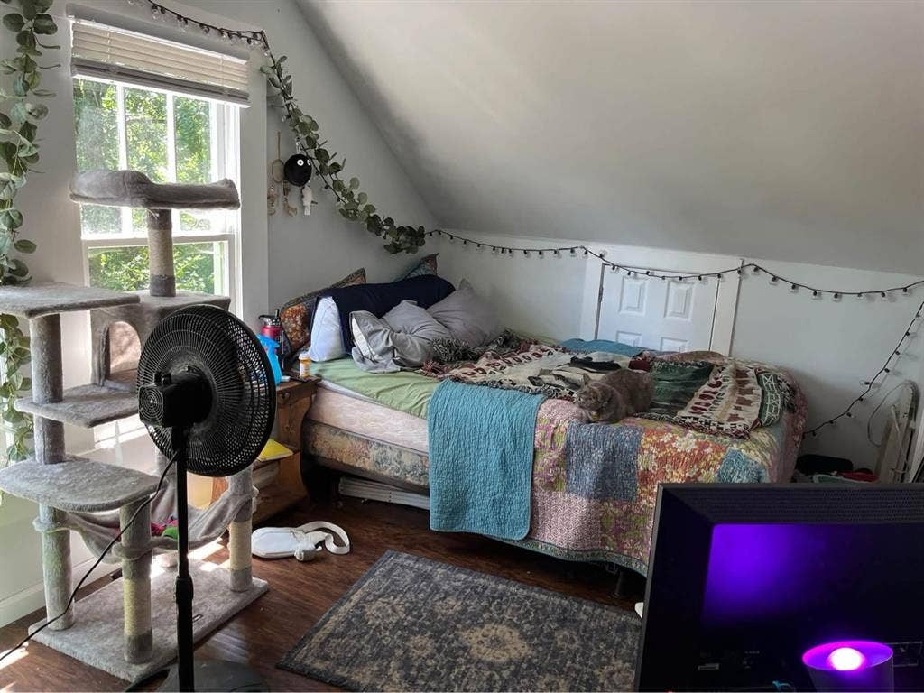 ROOM FOR RENT NEAR UTK