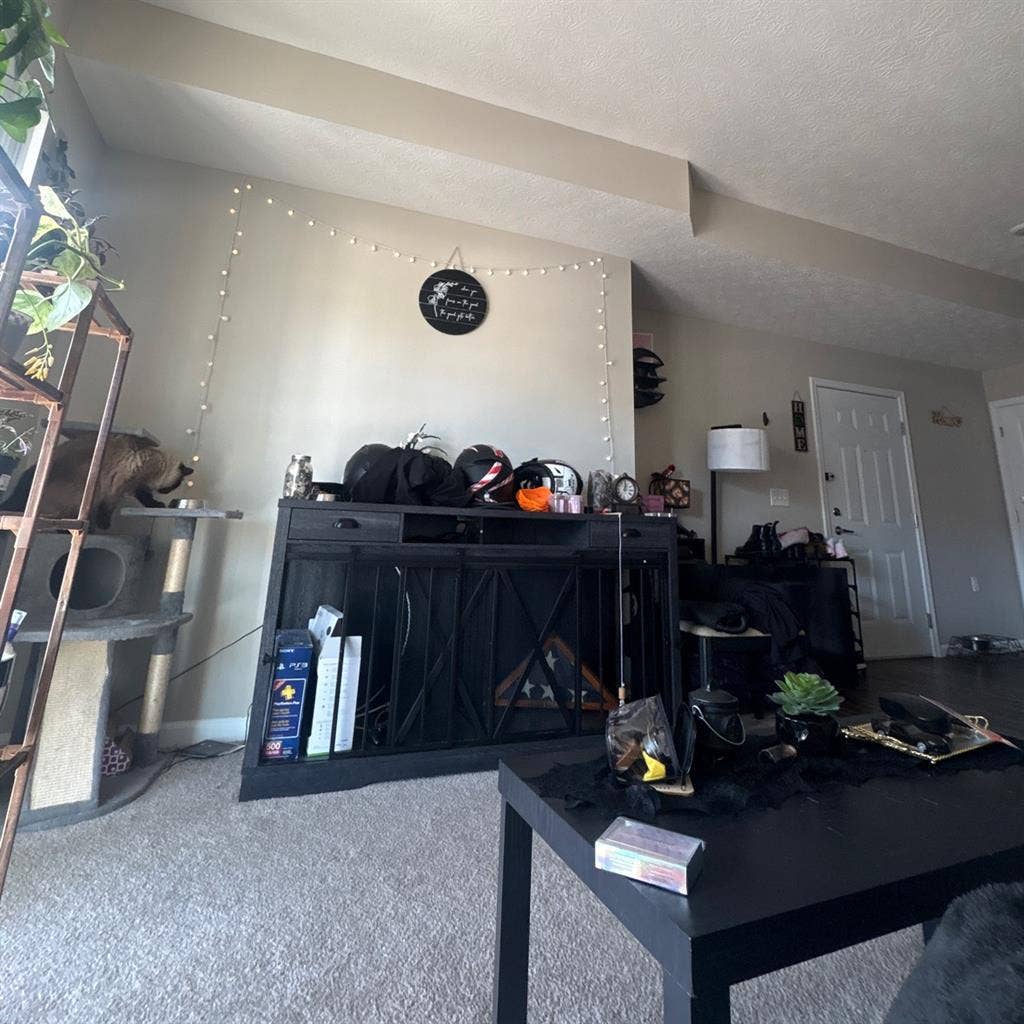 Looking for a roommate!