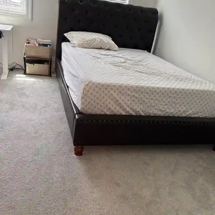 Looking for Female tenant