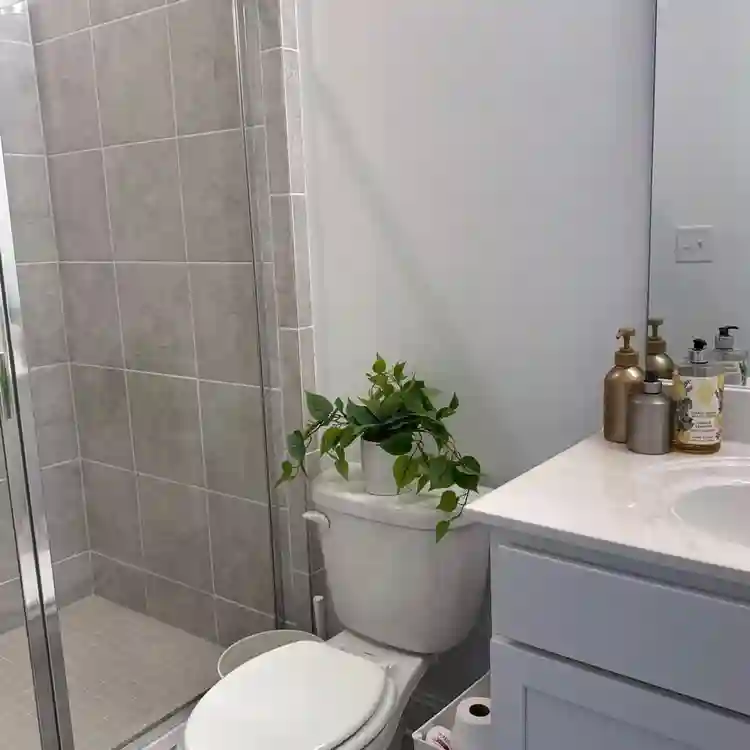Looking for Female tenant