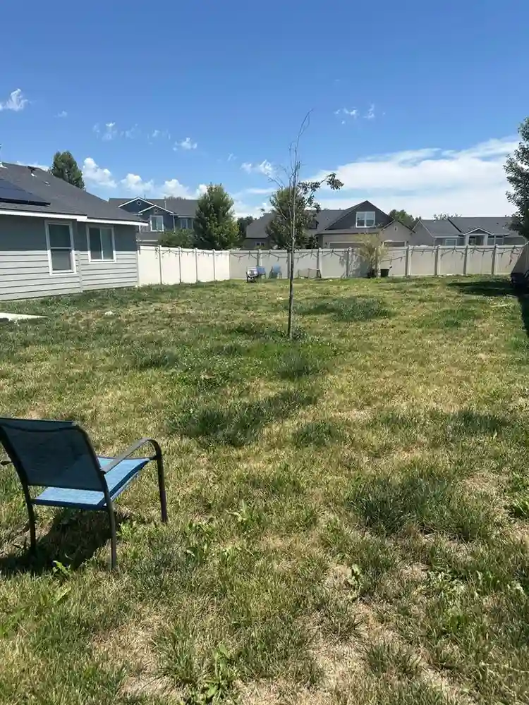 New Listing