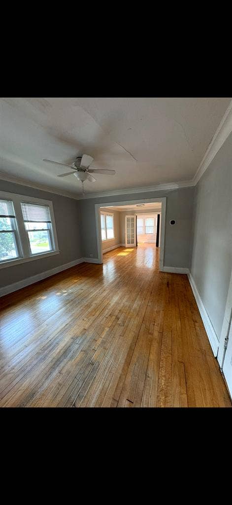 Looking for roommate