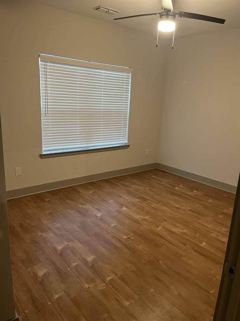 Looking for a roommate