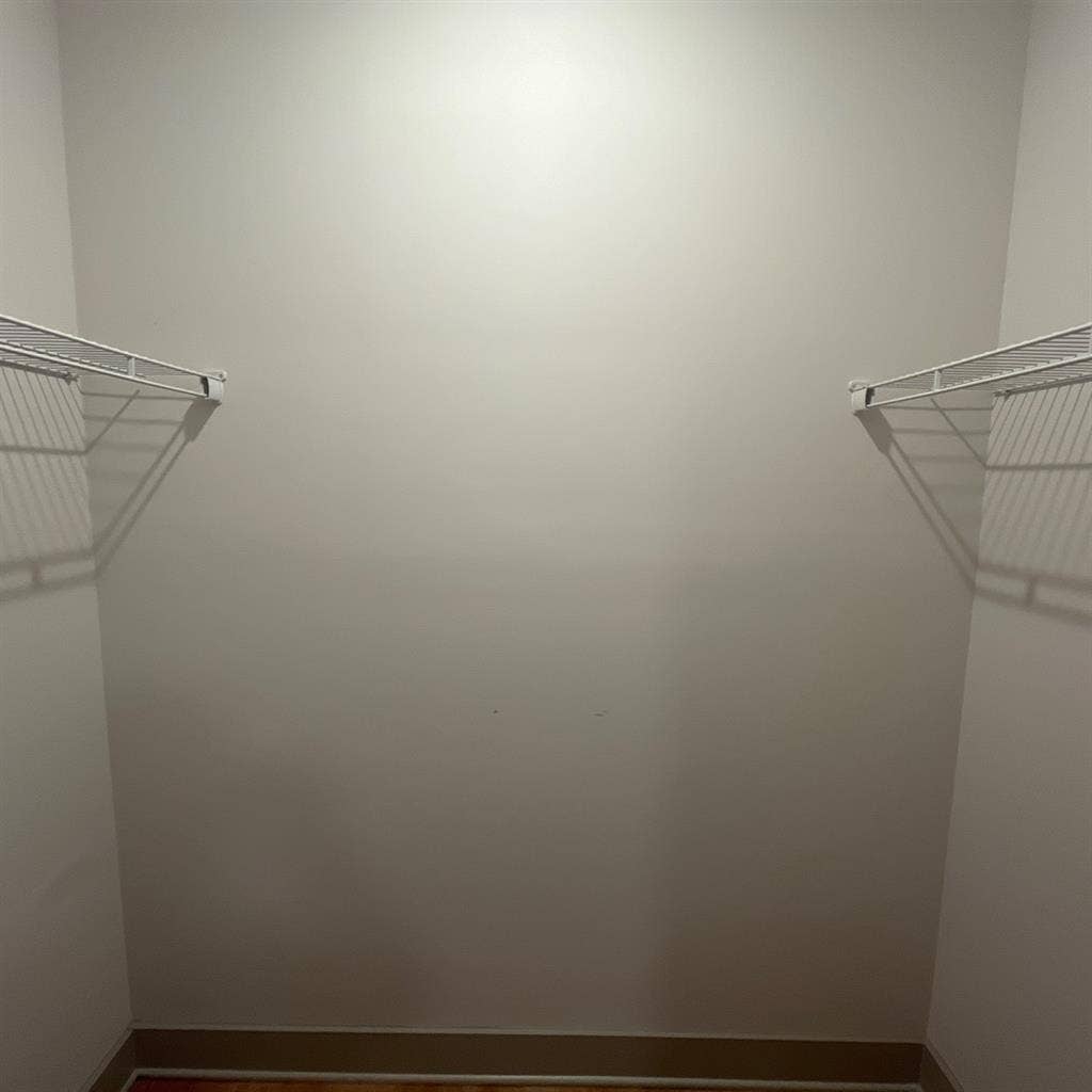 Looking for a roommate