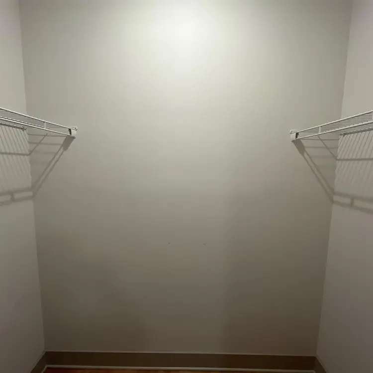Looking for a roommate