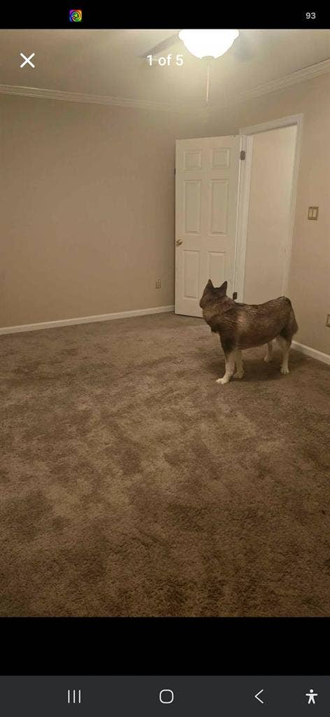 Looking for roommate immediately