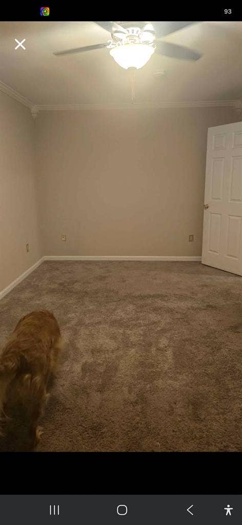 Looking for roommate immediately
