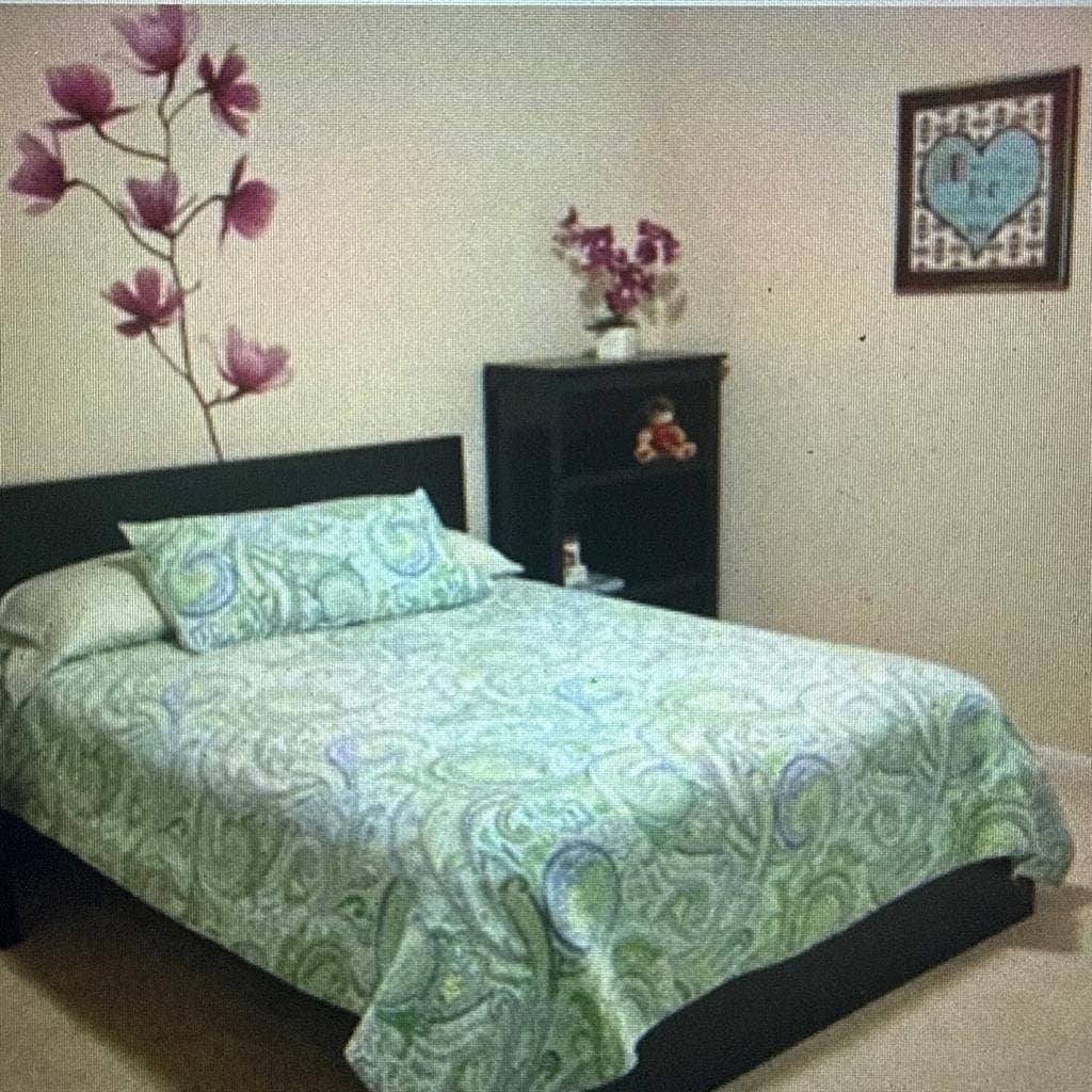 Female Roomate Wanted
