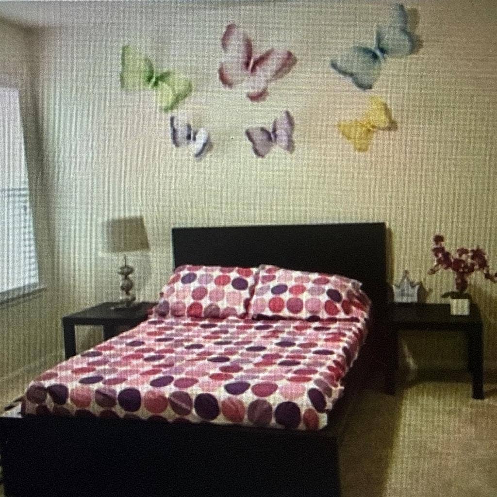 Female Roomate Wanted