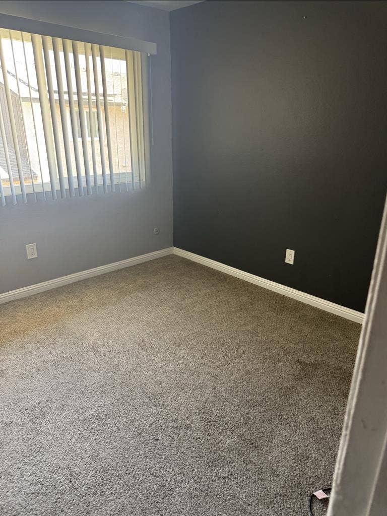 Roommate wanted