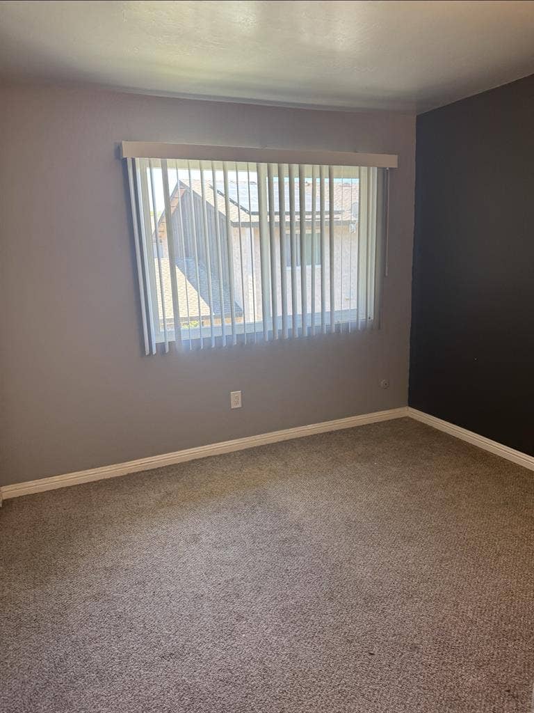 Roommate wanted