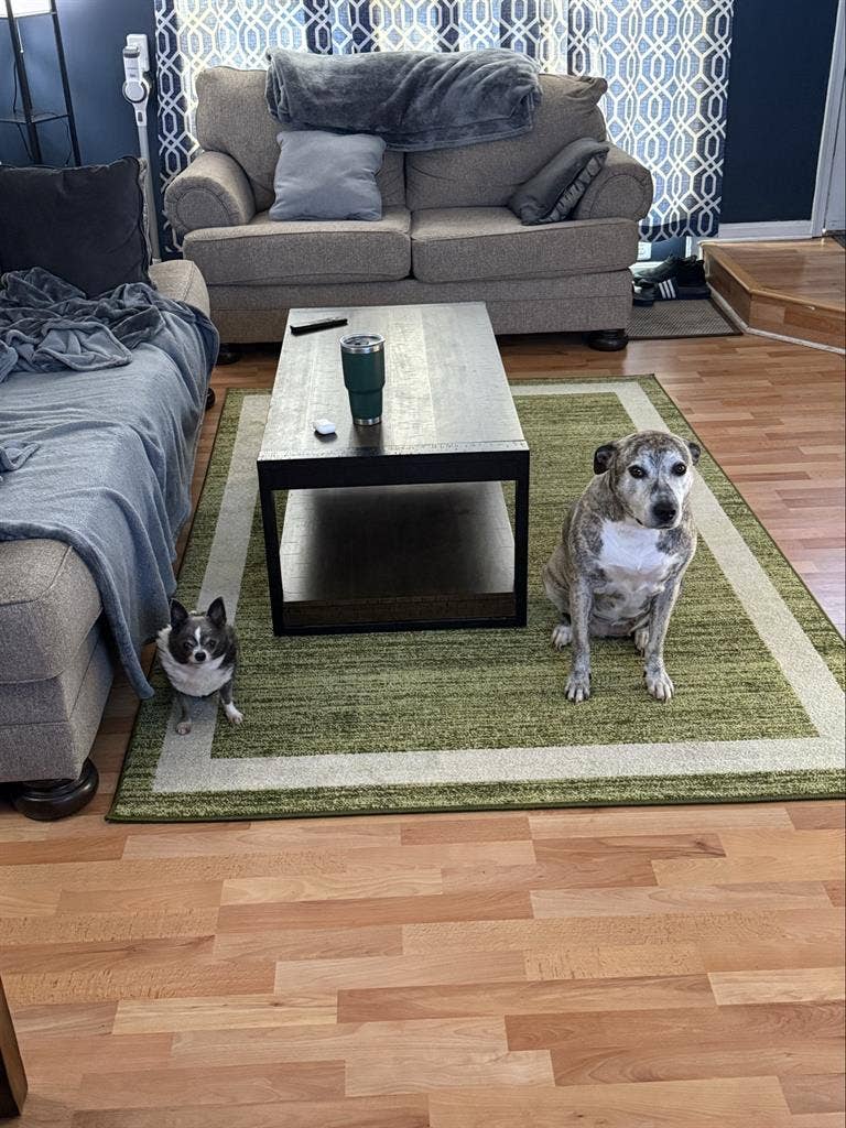 Looking for male roommate