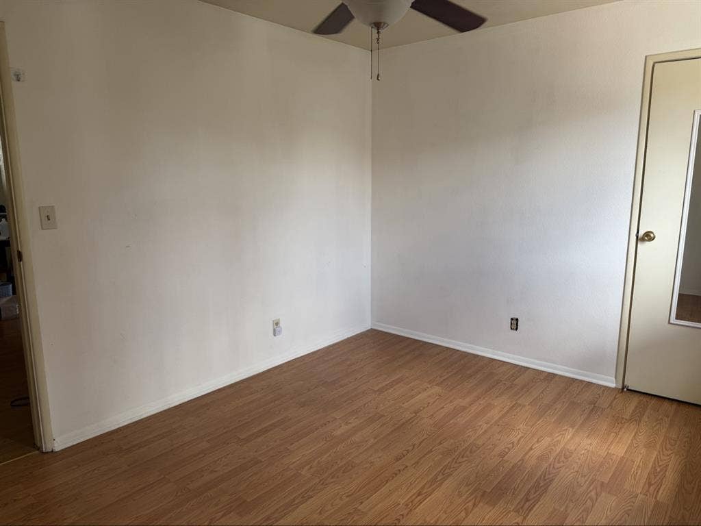 Looking for a roomie!