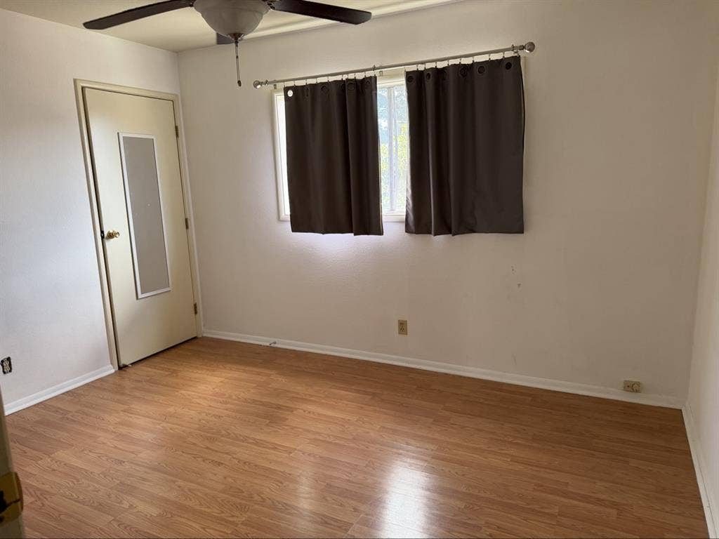 Looking for a roomie!