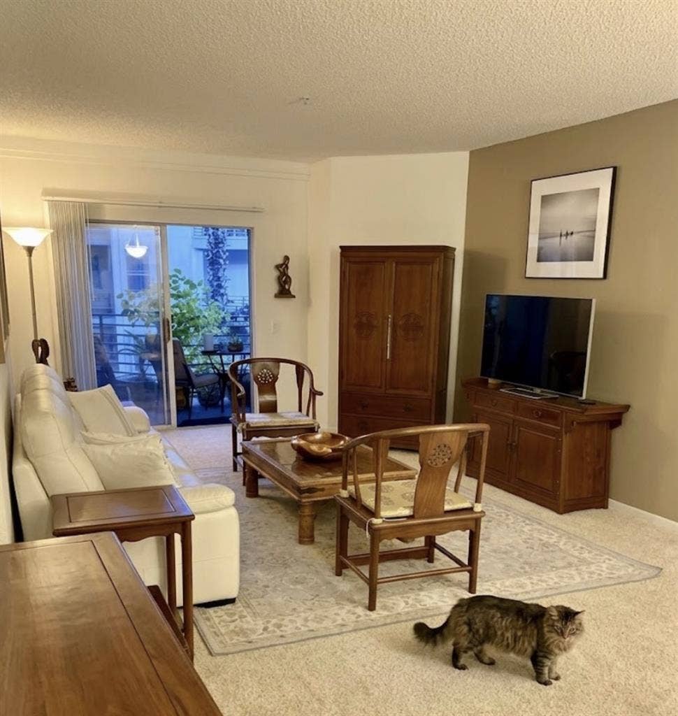 Big private room/bath in my home