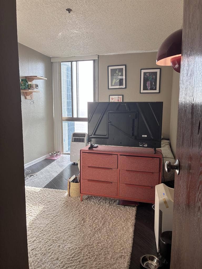 Room in Condo for Rent