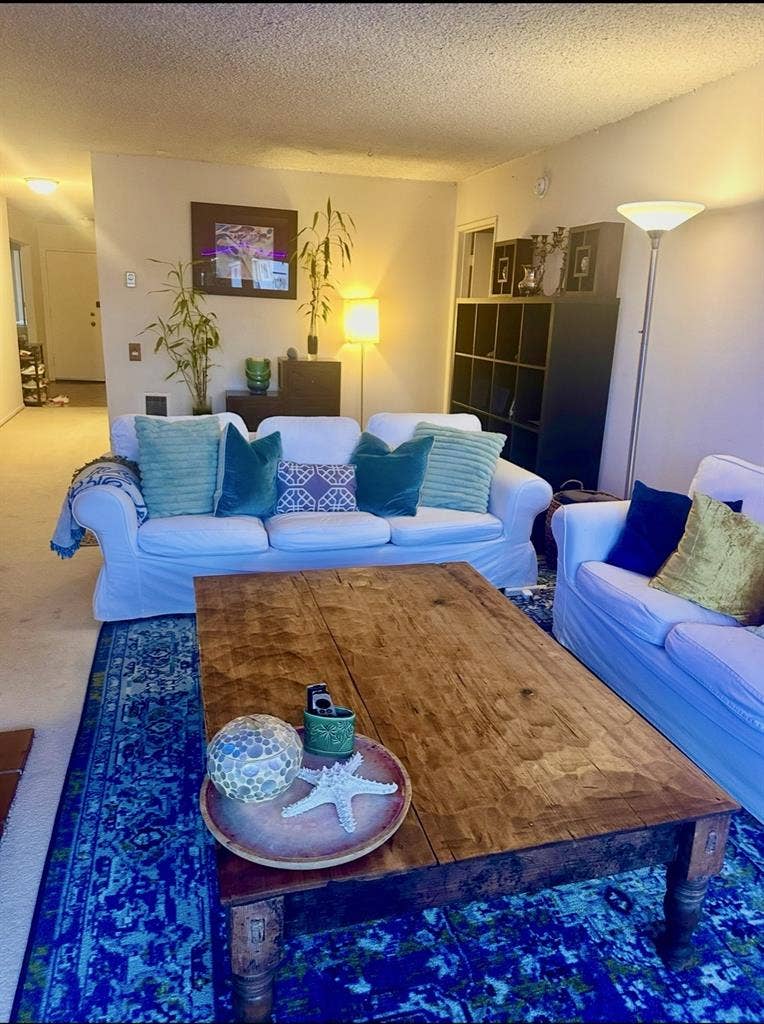 Private suite in Santa Monica apt