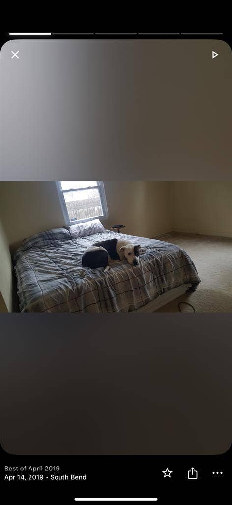 Roommate(s) wanted
