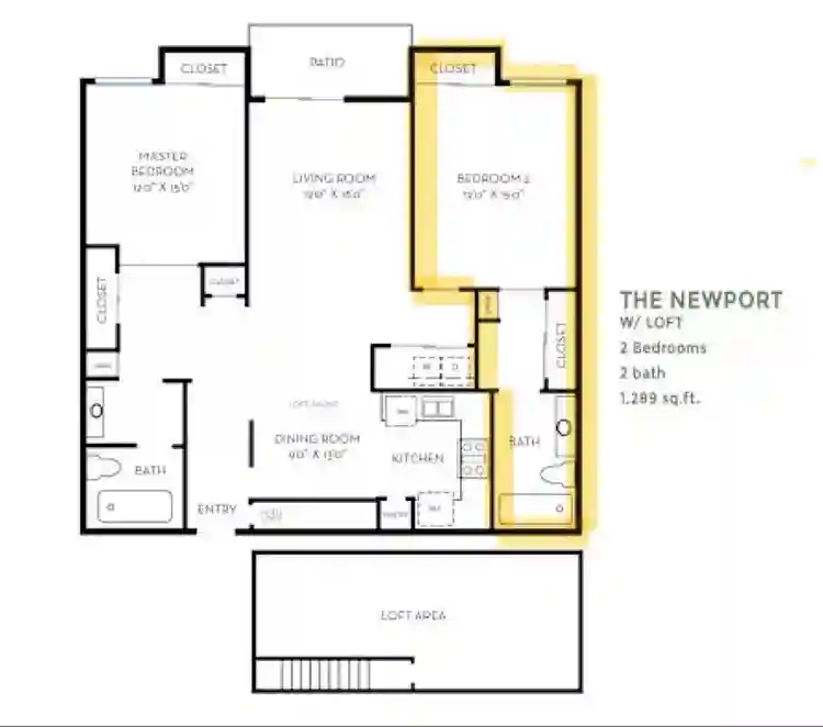 In Search of a Roommate
