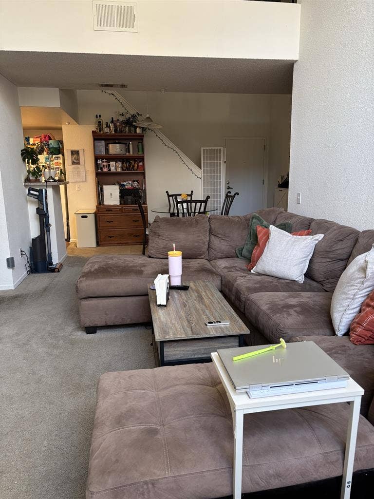 In Search of a Roommate